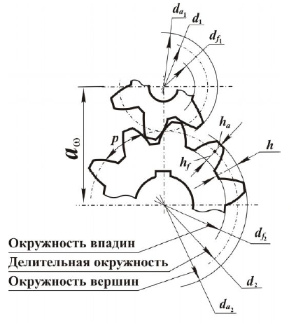 Окружности впадин зубьев