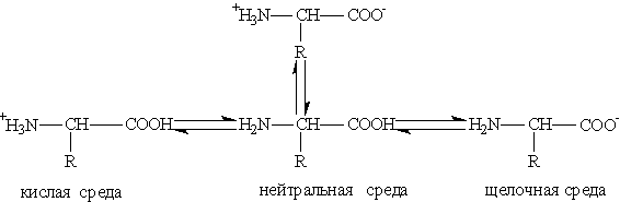 Формула глицина в нейтральной среде. Схема диссоциации аминокислот в кислой среде. Аспарагиновая кислота в нейтральной среде. Лизин в щелочной среде.