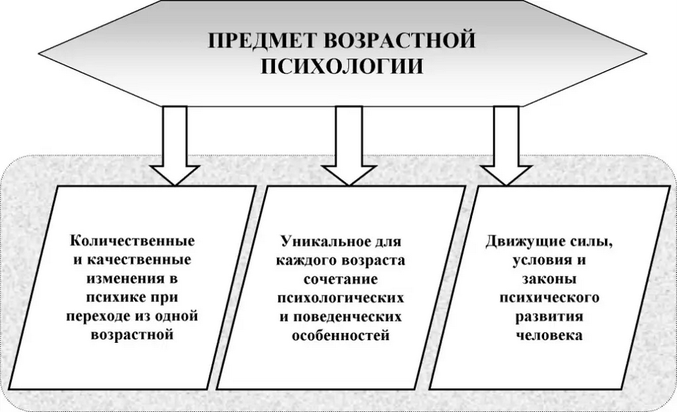 Проект по возрастной психологии