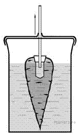Опыт с морковкой в воде
