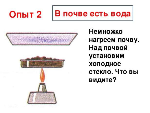 На рисунке изображены проектор и настольная лампа высота проектора 10 см какова