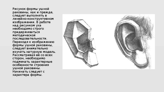 Как нарисовать ушную раковину